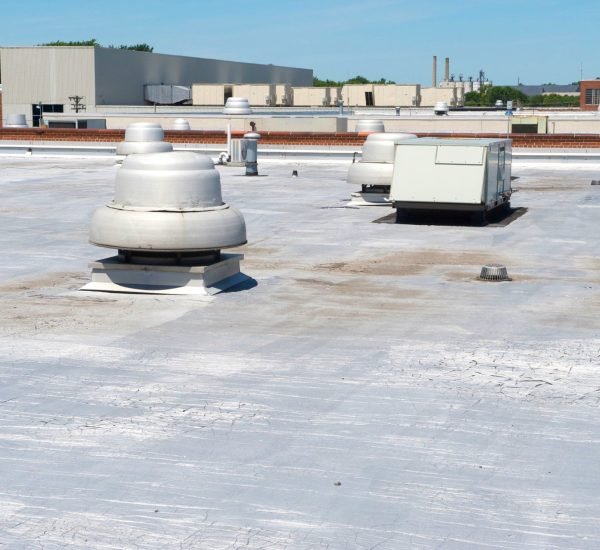 482219409_9694382130619458_238450275204743226_n